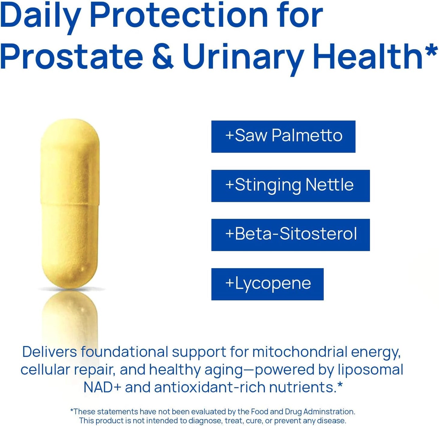 Selerb NAD+ Supplement -60 Capsules Advanced