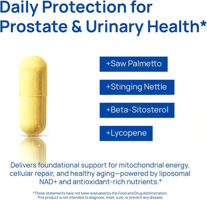 Selerb NAD+ Supplement -60 Capsules Advanced