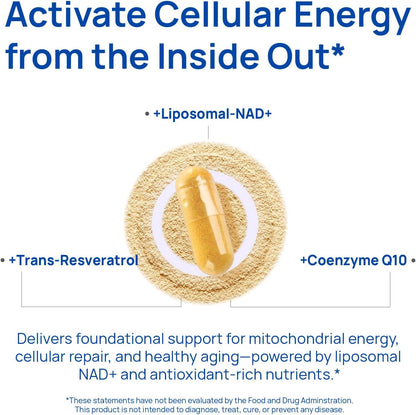 Selerb NAD+ Supplement -60 Capsules Advanced